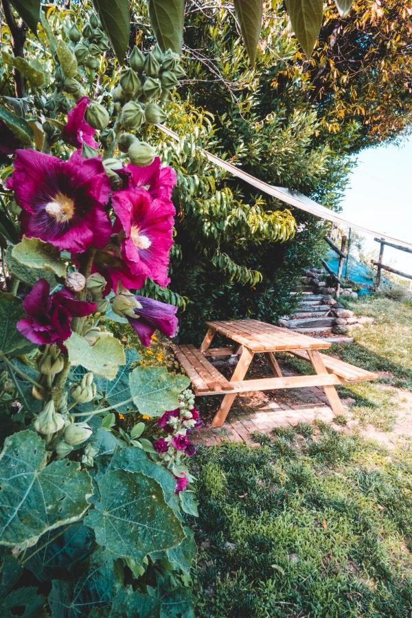 Agriturismo Dai Gobbi Fara Vicentino Экстерьер фото